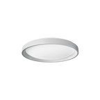 Ceiling Light T1M