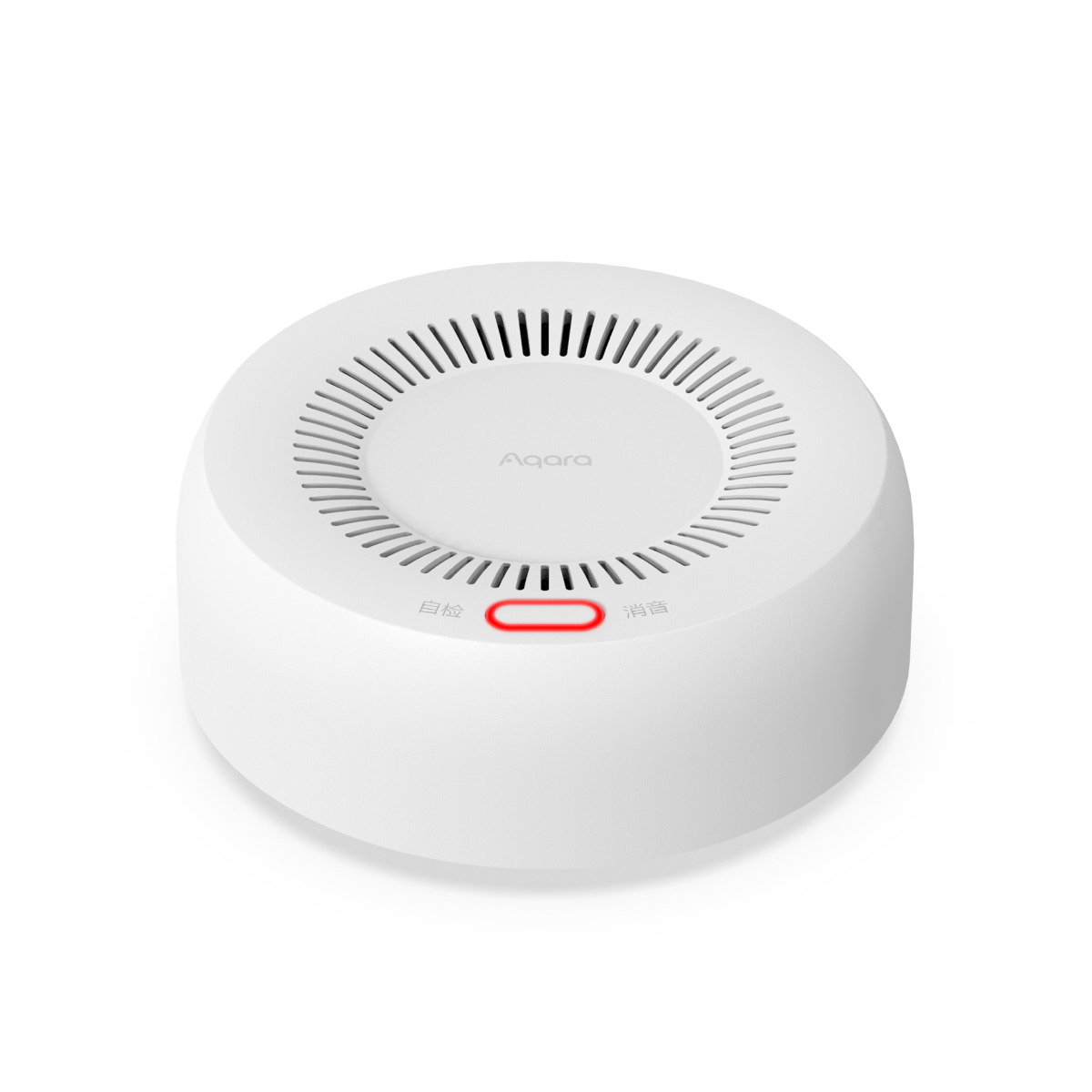 Smart Natural Gas Detector
